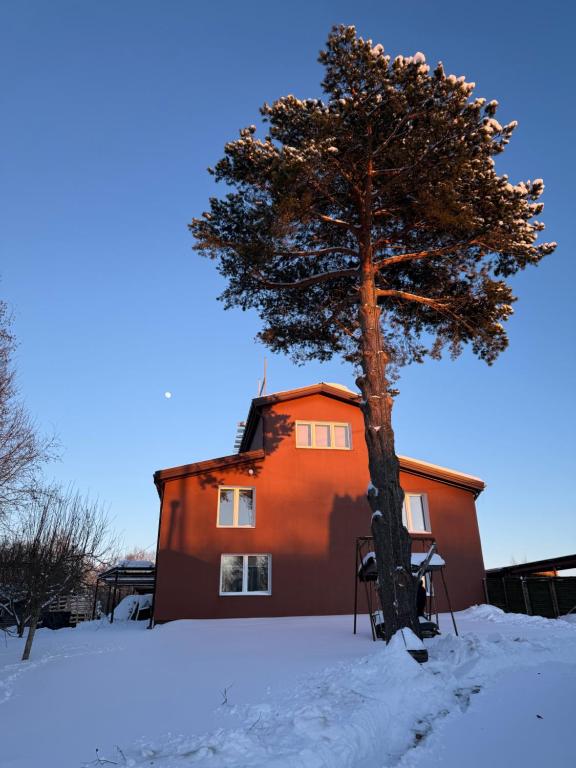 View photo 21